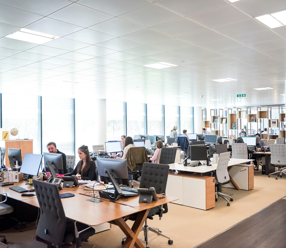 Customer care team working in a modern open-plan office